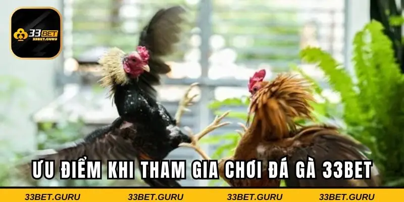 Ưu điểm khi tham gia cá cược tại nhà cái đẳng cấp